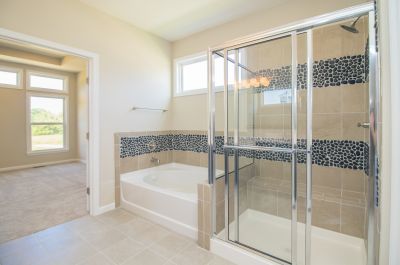 Elegant Shower Door